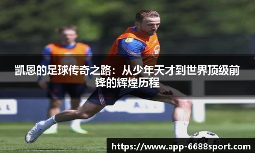 6688体育app下载